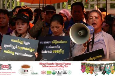 Unions Mark Labor Day with Rights Demands