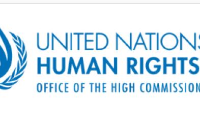 Experts condemn conviction of environmental activists in Cambodia