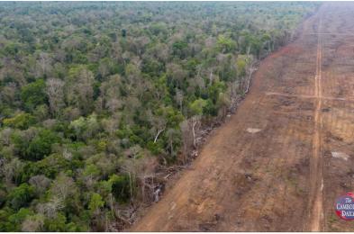 អ្នក​ឃ្លាំមើល​អំពាវនាវ​ឱ្យ​រដ្ឋាភិបាល​លុប​កិច្ចសន្យា​ផ្តល់​ដី​សម្បទាន​ក្នុង​តំបន់​ព្រៃឡង់​ពី​ក្រុមហ៊ុន​ស៊ីម៉ងត៍ K.P