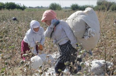 How US foreign aid cuts put garment worker rights on a precipice